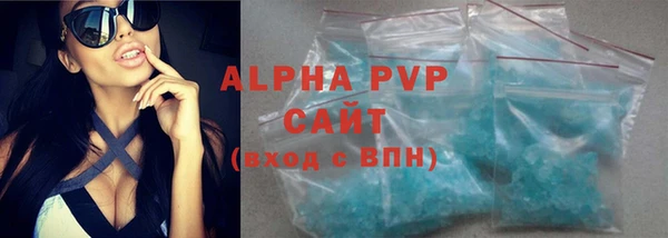 сатива Рославль