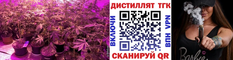 ТГК гашишное масло  Кодинск 