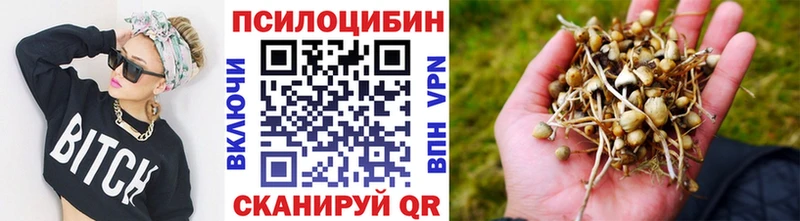 хочу   Кодинск  Галлюциногенные грибы прущие грибы 